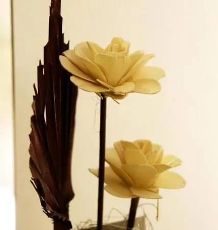 New Bazaar Jereina's 3*